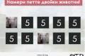 Отвори Намери петте двойки животни

